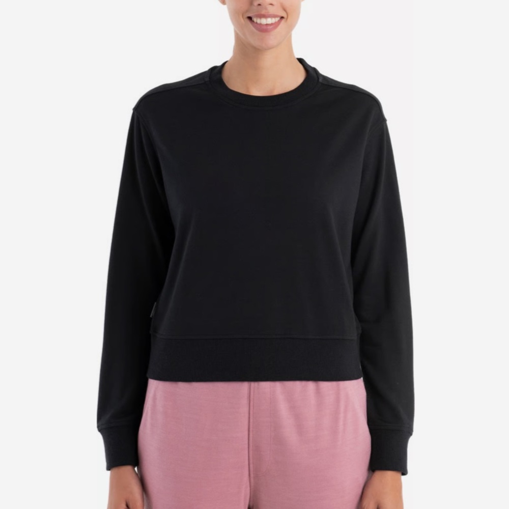 Icebreaker Sweater